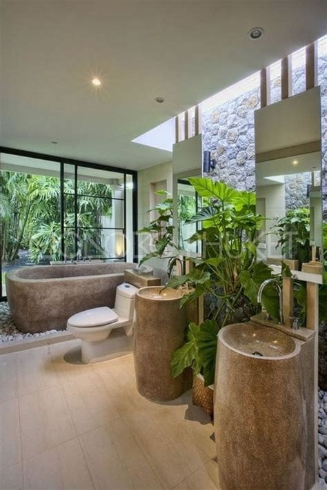 浴室植物設計 枇杷樹種植
